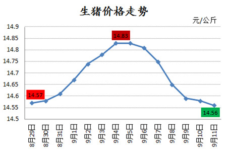 需求未明显好转！猪价还要跌？