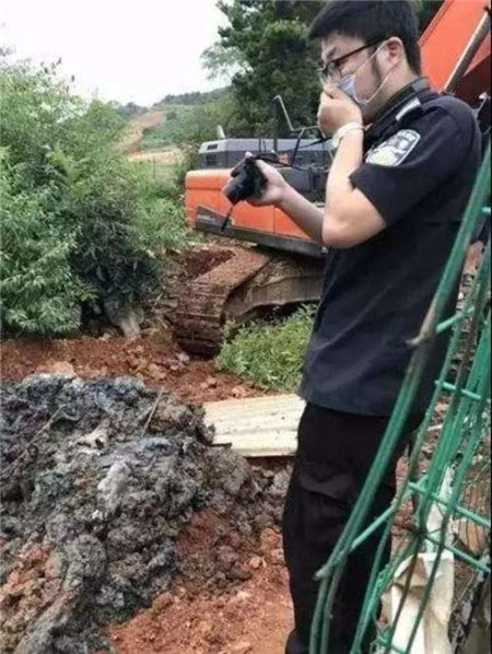 人民日报评“偷埋死猪”:为何盖子在环保督察来后才揭开