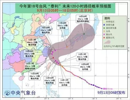 台风也阻挡不了国际友人的热情