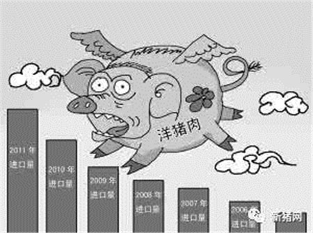 反思!中国屡为“洋猪肉”打开大门?