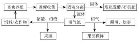 不同的种植模式,一亩地允许养几头猪?差别大了!