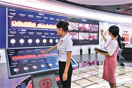 借互联网猪也可以“飞起来”，日均交易10万头