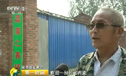 猪价走势问题一直是养猪人最头疼的问题，什么时候出栏最合适，什么时候最适合补栏，我们今天一起来听听央视怎么说：