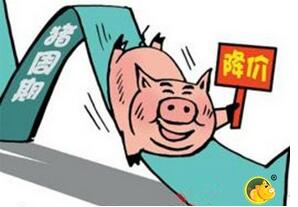 跳出猪周期分析涨跌行情