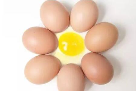 绝招：注射蛋清治疗“僵猪”