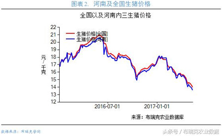 节日之前，猪价易涨难跌？