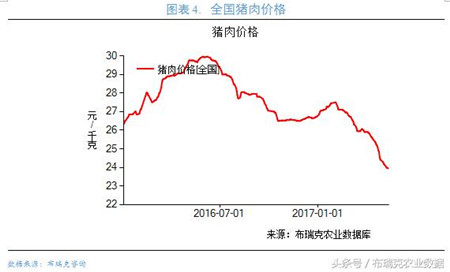 节日之前，猪价易涨难跌？