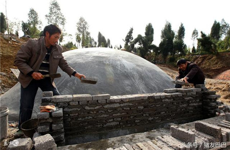 整天看行情讲环保,在意猪价的你更该懂生态养猪