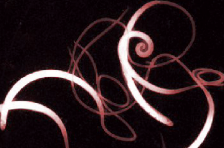 生猪体内的寄生虫，是防治生猪疾病的重要环节。