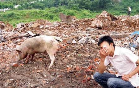今年对不少养殖户来说是非常艰巨的一年,关乎到生死存亡,来自于行情、来自于成本、来自于环保投入、来自于禁养等。