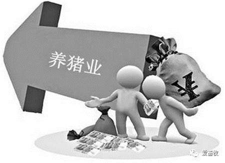 你知道吗?下面这些因素影响着未来十年的养猪业!