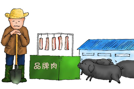 赵明:特色养猪为何举步维艰?