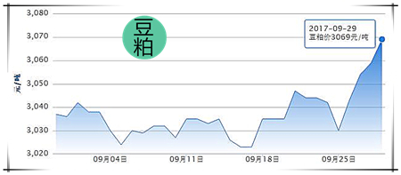 9月29日猪评：节前小涨难以逆市，双节期间或稳定为主