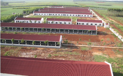 在“28天为节律的批次生产”工艺基础上逐渐建设完善了涵盖动保、育种、管理、工程、生产以及营养的管理体系,并通过对外持续分享该管理体系,帮助合作伙伴成长,形成了独具特色的“天兆模式”。