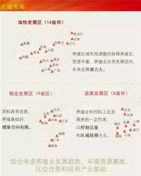 养猪行不行,看你在不在这“三个区”!