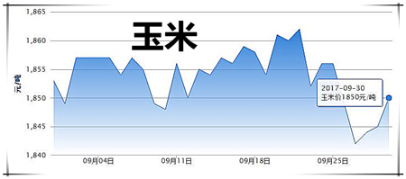 9月30日猪评：节前猪价无下跌可能 节日将以稳中波动调整为主