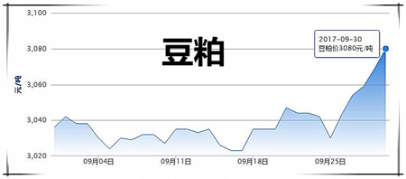 9月30日猪评：节前猪价无下跌可能 节日将以稳中波动调整为主