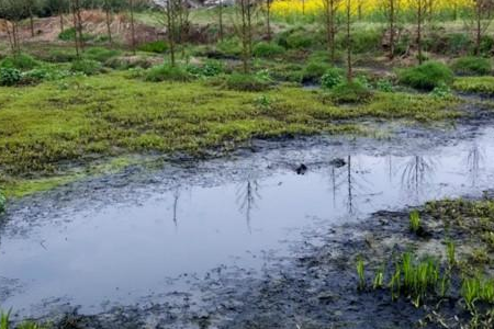 对于环境的破坏与污染,我们每个人都深表痛心和遗憾,觉得惋惜!不知道为什么?环境的污染一下子怎么就成了这个样子了?