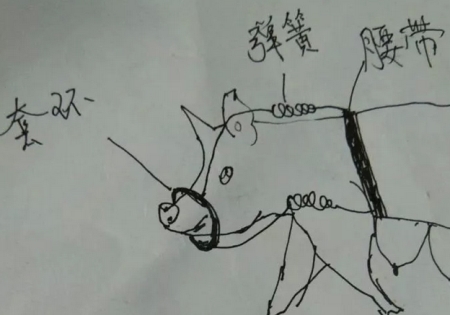 母猪咬仔猪再也不怕了看咱自己发明的防咬神器!