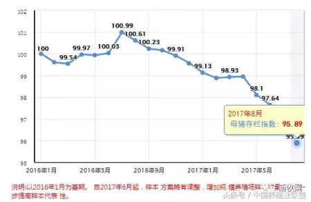 猪价又要跌？先看看这些数据允不允许