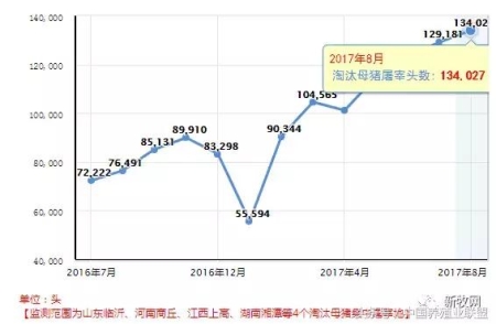 猪价又要跌？先看看这些数据允不允许