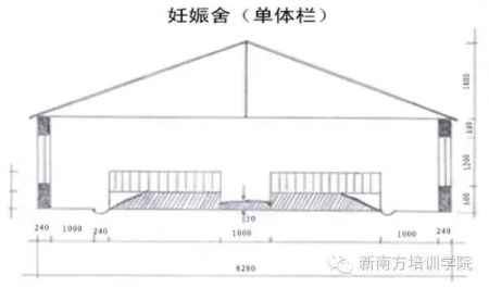 要知道，100头母猪的猪场是这样建设的