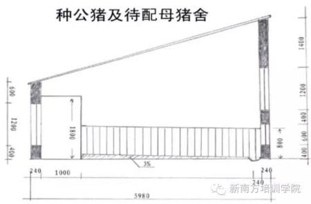 要知道，100头母猪的猪场是这样建设的