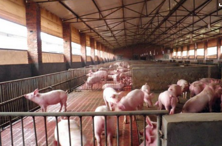 每天学点做饭技巧