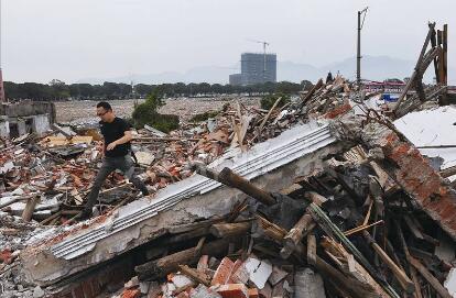 环保养殖禁养政策“搅翻了”生猪行业?