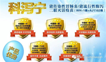 自2011年以来,我国先后有近30家企业获批生产猪传染性胃肠炎、猪流行性腹泻二联疫苗,其中还包括加入了轮状病毒的三联苗,可是一直没有批准变异毒株腹泻疫苗
