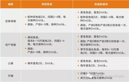 自2011年以来,我国先后有近30家企业获批生产猪传染性胃肠炎、猪流行性腹泻二联疫苗,其中还包括加入了轮状病毒的三联苗,可是一直没有批准变异毒株腹泻疫苗