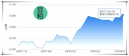 10月10日猪评：猪价稳中震荡，冷空气将为上涨助力