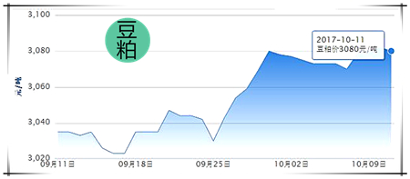 10月11日猪评：猪价必反弹，距离上涨还有多远？