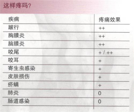 猪只疼痛时发出的信号和人是一样的吗?