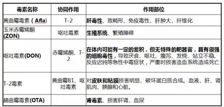 现在新玉米上市，有部分猪场认为自配料便宜，开始选择用新玉米做自配料，如果使用新玉米时不加注意，猪就会出现采食量下降