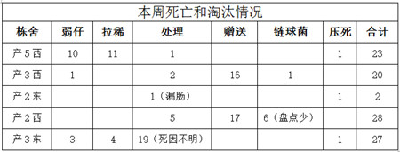 对于很多国内的养殖户来说，成本管理一直是萦绕在心头的痛楚和算不清的难题，这里面不乏统计的困难，从业者的素质低等诸多原因。