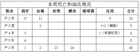 对于很多国内的养殖户来说，成本管理一直是萦绕在心头的痛楚和算不清的难题，这里面不乏统计的困难，从业者的素质低等诸多原因。