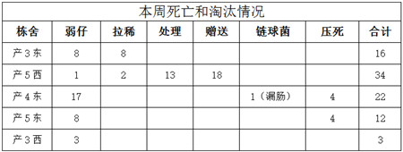 对于很多国内的养殖户来说，成本管理一直是萦绕在心头的痛楚和算不清的难题，这里面不乏统计的困难，从业者的素质低等诸多原因。