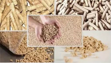 养猪户挑不出好饲料的原因?