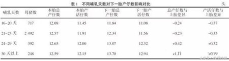 这个时间断奶,母猪一年可以多产1.4头猪