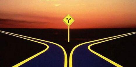 2017养猪只有两条路,要么走?要么留!