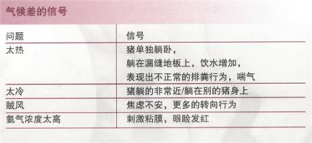 对于猪只传递给你的信号,你知道多少?