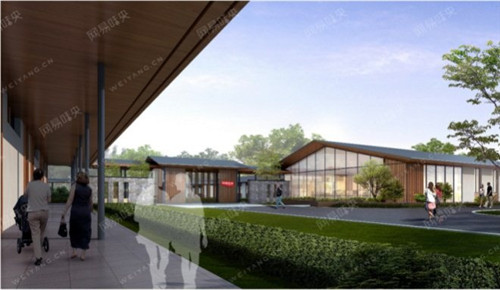 全国各地谈“猪”色变 为何偏偏独宠网易味央?