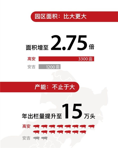 全国各地谈“猪”色变 为何偏偏独宠网易味央?