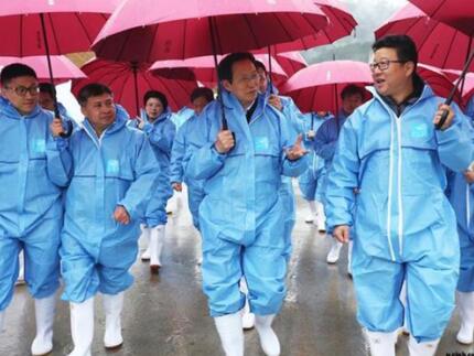 全国各地谈“猪”色变 为何偏偏独宠网易味央?