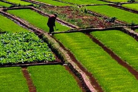 随着土地承包期延长30年,农村土地承包经营权市场的信心也被提振起来。