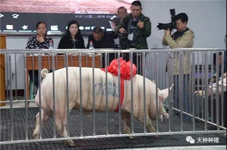  养殖户抗价见成效，猪价止跌回涨；9月存栏又降，别再被存栏晃了眼！“放心肉”难离屠宰监管；武汉养猪最高可获奖300万，谁能拿到钱？快来跟行情宝小编一起看本周大事件！