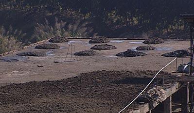 “奥妙就在这里,养殖场每年30万吨畜禽粪污都通过管道进入到了这里,经过厌氧发酵产生沼气,除了自给自足外,还向周边8000多农户供气。”