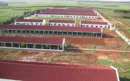 不管是谁哪个行业,慢慢都会重视起来;咱们养猪人,不管是哪里的也都会面对这个问题,咱们养猪人应该怎么解决,如何继续养猪多赚钱;