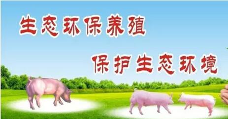 集思广益,博取众长,让环保不再成为中国养殖的困扰